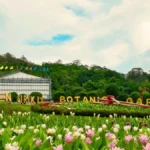 queen sirikit botanic garden