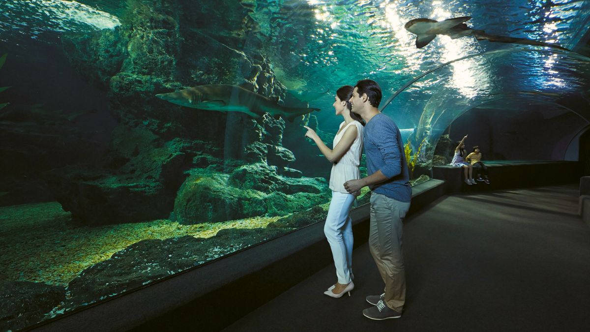 Aquariums and Marine Life Exhibits