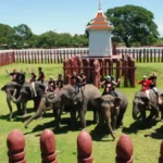 Ayutthaya Elephant Palace