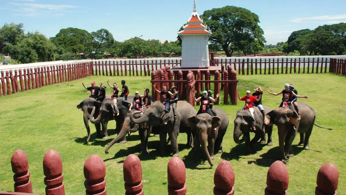 Ayutthaya Elephant Palace