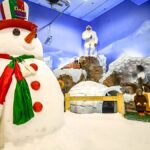 Best Time to Visit Dream World Snow Town