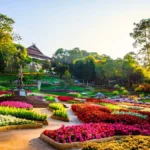 Doi Tung Royal Villa