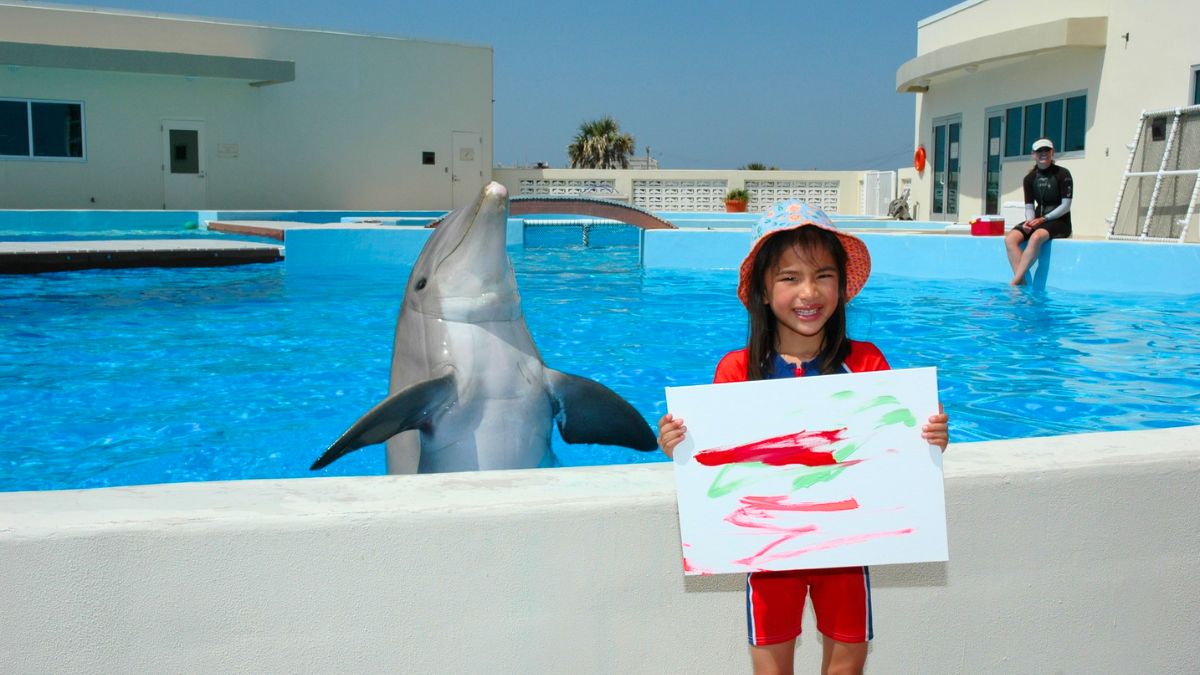 Dolphin Painting