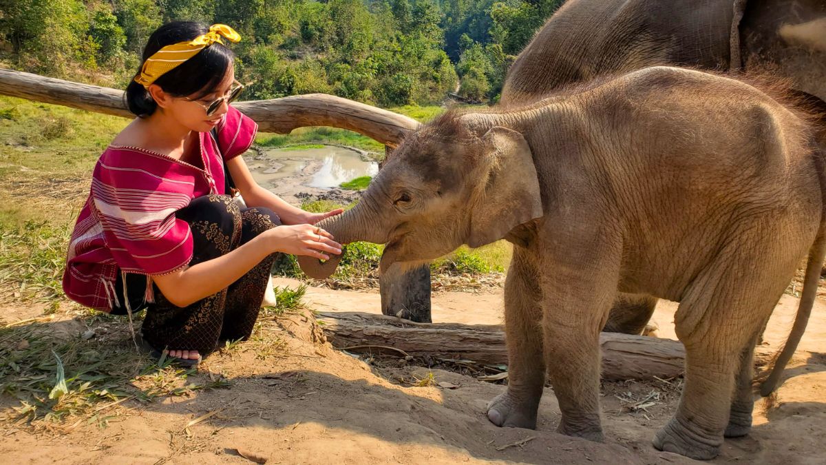 Ethical Elephant Experiences