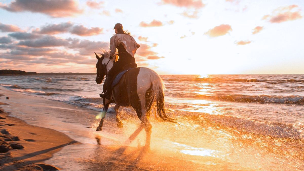 Horseback Riding Along the Beach