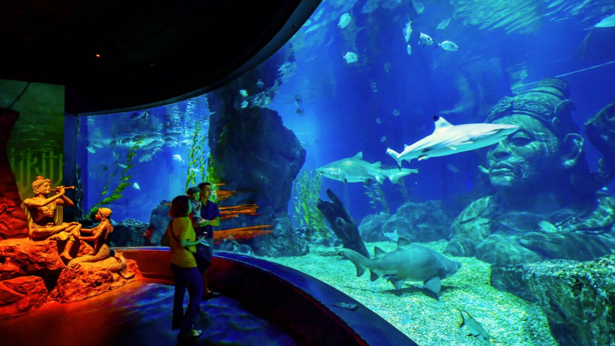 Interactive Experiences at SEA LIFE Bangkok Ocean World