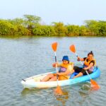 Kayaking in Mangroves