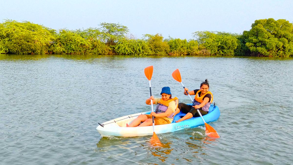 Kayaking in Mangroves