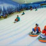 Key Highlights of Dream World Snow Town