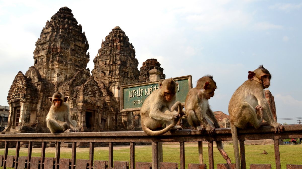 Monkey Temple