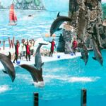 Safari World & Marine Park Ticket Price & Essential Information