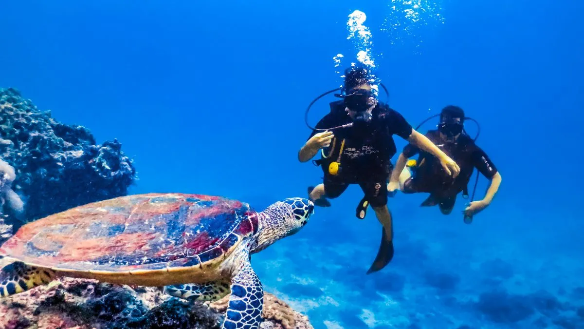 Scuba Diving Phi Phi Islands