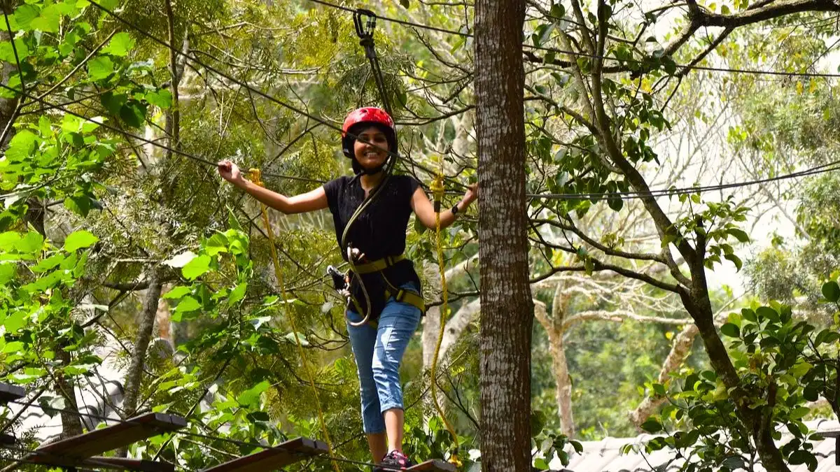 Visit Tree Top Adventure Park