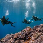 Conservation and Responsible Diving