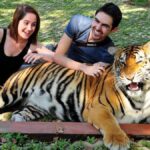 How to Reach Phuket Tiger Kingdom