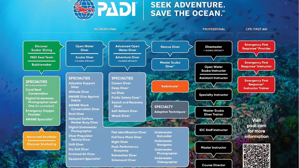 PADI Courses and Dive Certifications