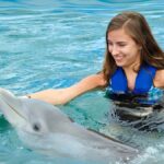 Pattaya Dolphin World More Than Just a Show