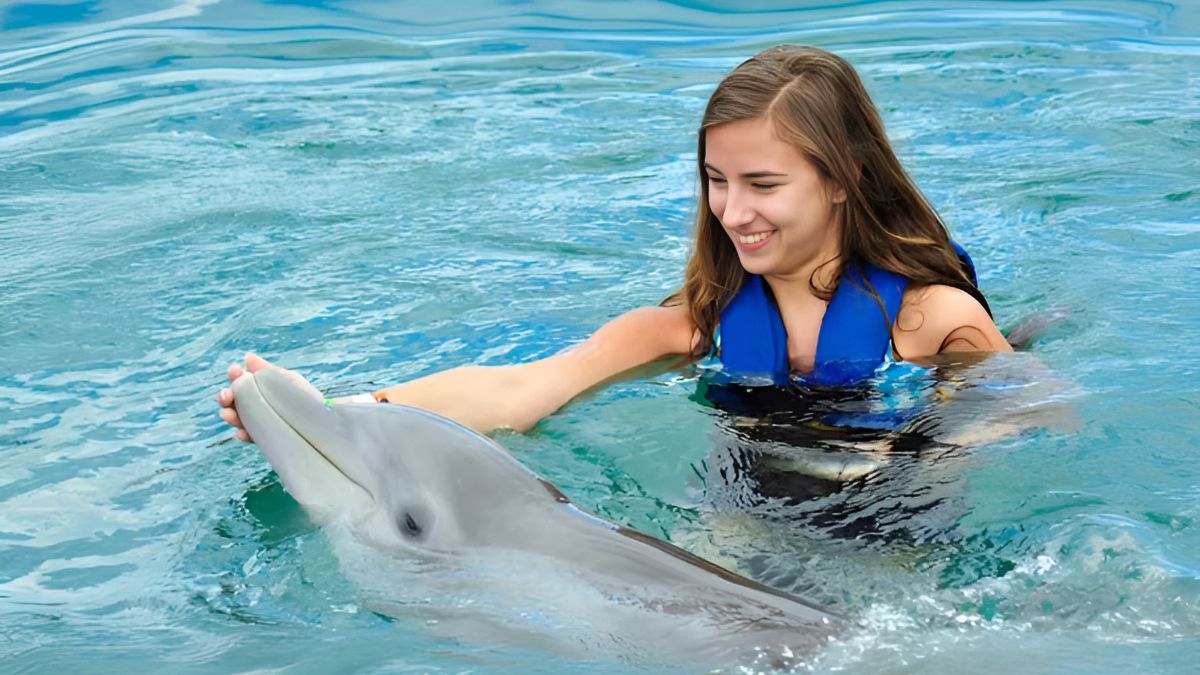 Pattaya Dolphin World More Than Just a Show