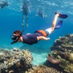 Scuba Diving & Snorkeling