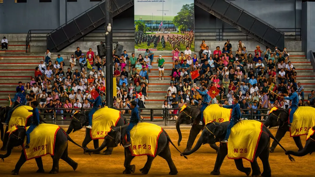 Spectacular Cultural Shows and Elephant Performances