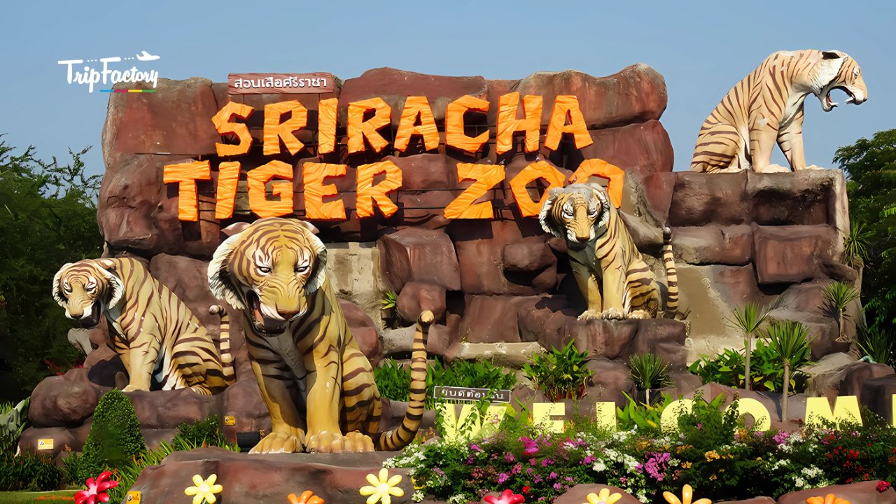 Sriracha Tiger Zoo Pattaya