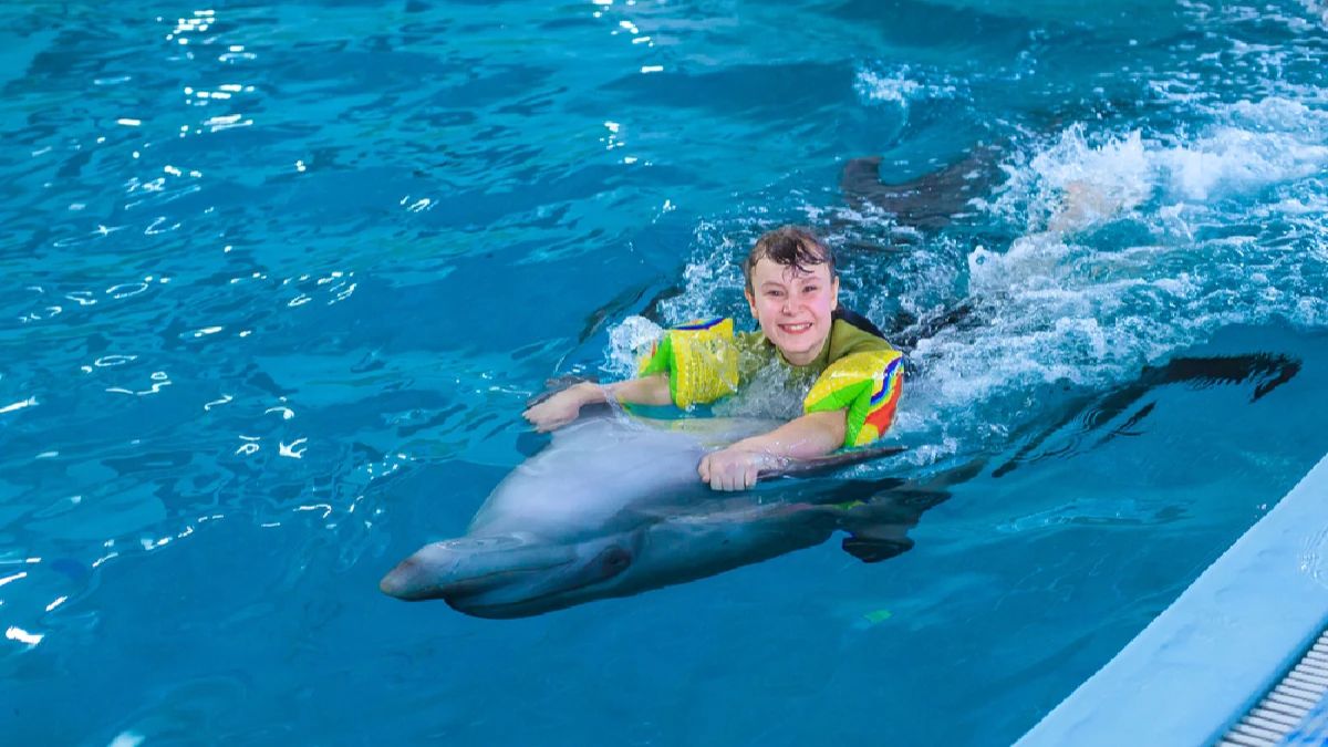 Swimming with Dolphins Guidelines