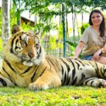 Things to Know Before Visiting Tiger Kingdom