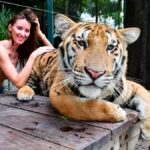 Up-Close Encounters with Tigers