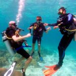 What to Expect on a Diving Day Trip