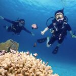 When to Go Diving in Phuket