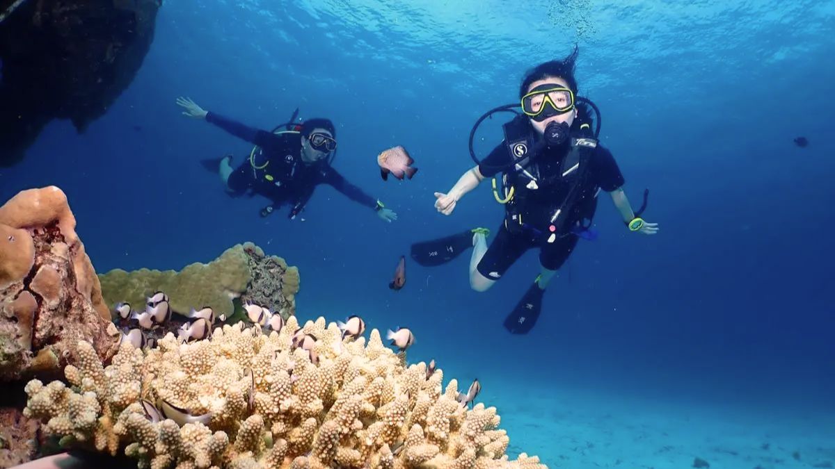 When to Go Diving in Phuket